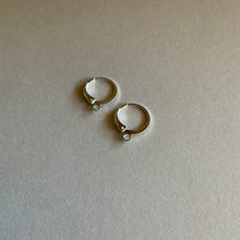 Load image into Gallery viewer, Upgrade: Hypoallergenic Ear Wires