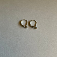 Load image into Gallery viewer, Upgrade: Hypoallergenic Ear Wires