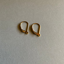 Load image into Gallery viewer, Upgrade: Hypoallergenic Ear Wires