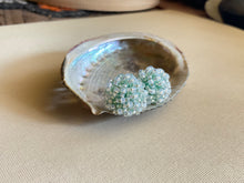 Load image into Gallery viewer, Beaded Stud Earrings 3965
