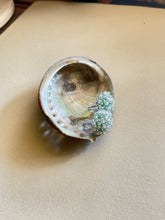 Load image into Gallery viewer, Beaded Stud Earrings 3965
