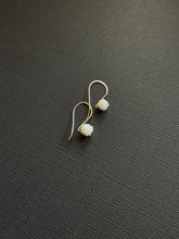 Load image into Gallery viewer, Beaded Drop Earrings 2170
