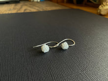 Load image into Gallery viewer, Beaded Drop Earrings 2170
