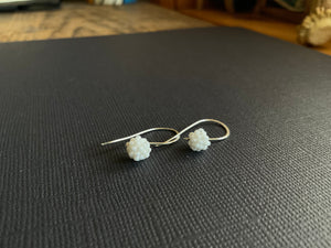 Beaded Drop Earrings 2170