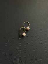 Load image into Gallery viewer, Beaded Drop Earrings 2171
